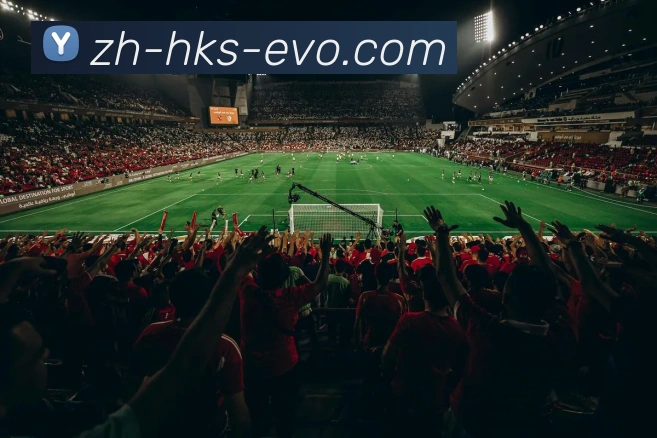 EVO真人官网平台生态图